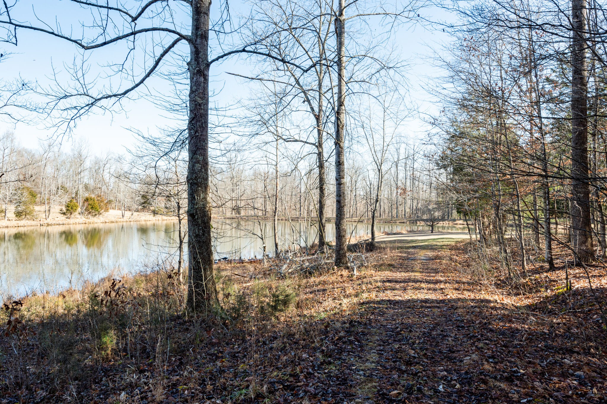 970 Stewart Road Dickson, TN 37055 - Photo 16 of 38 Gallery Image 16
