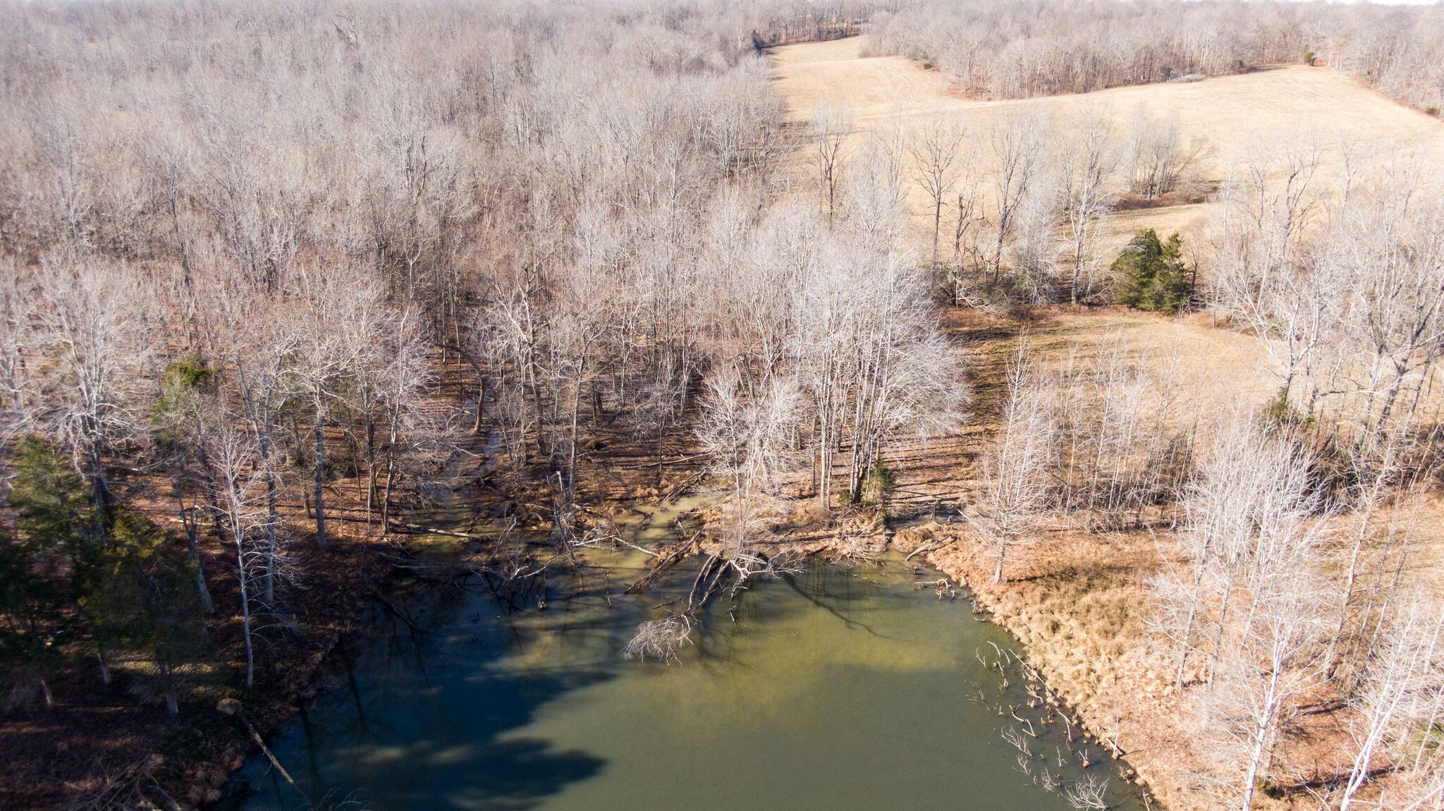 970 Stewart Road Dickson, TN 37055 - Photo 20 of 38 Gallery Image 20