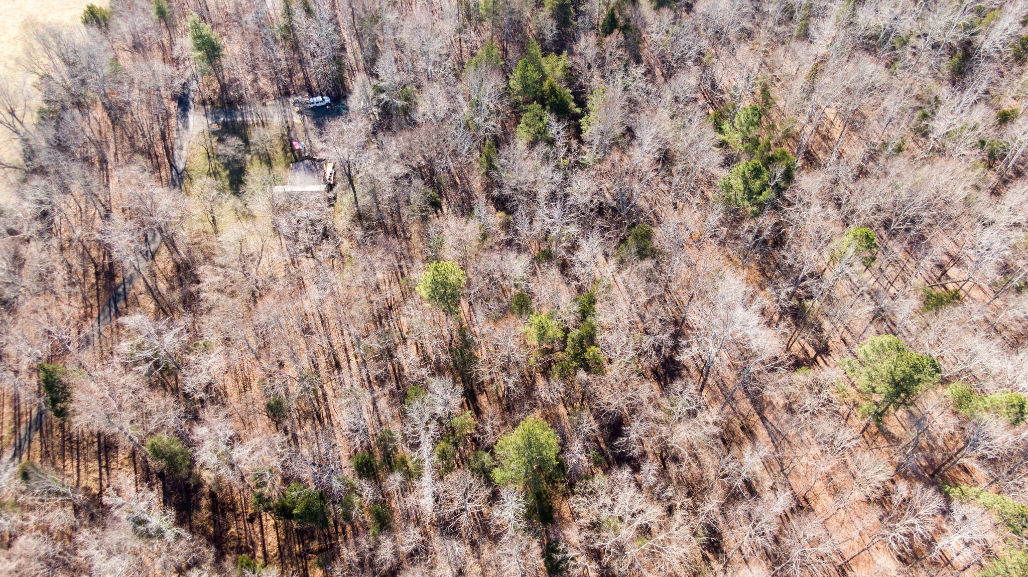 970 Stewart Road Dickson, TN 37055 - Photo 25 of 38 Gallery Image 25