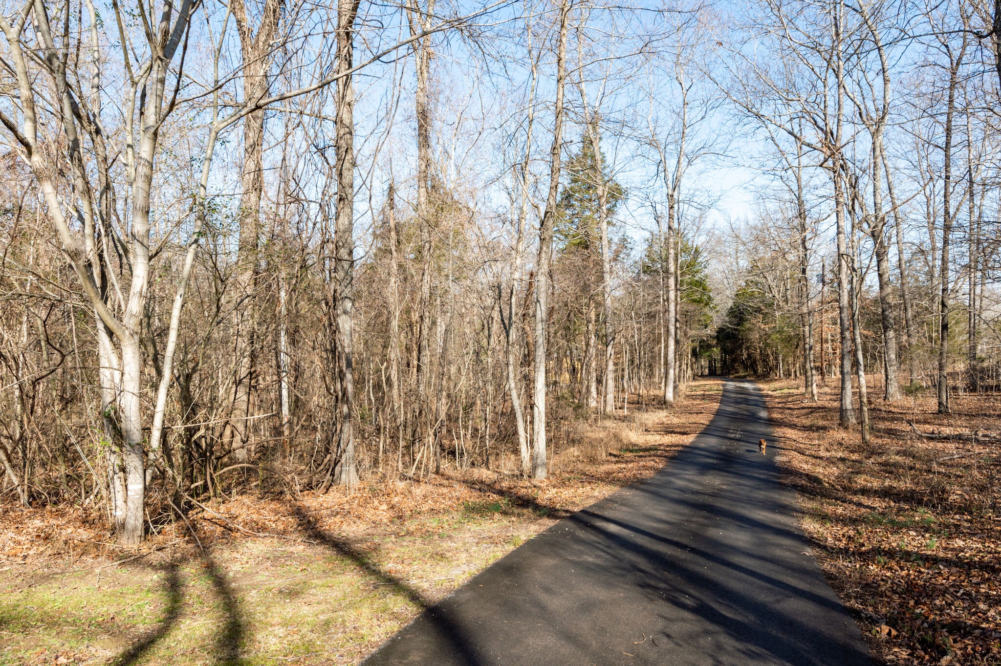 970 Stewart Road Dickson, TN 37055 - Photo 4 of 38 Gallery Image 4