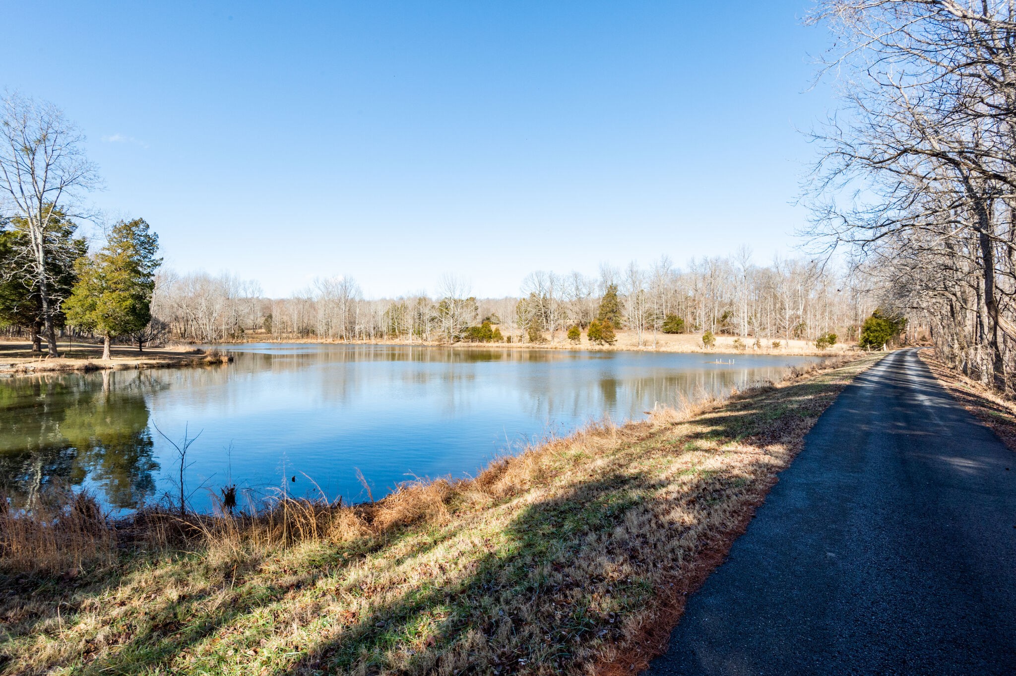 970 Stewart Road Dickson, TN 37055 - Photo 8 of 38 Gallery Image 8