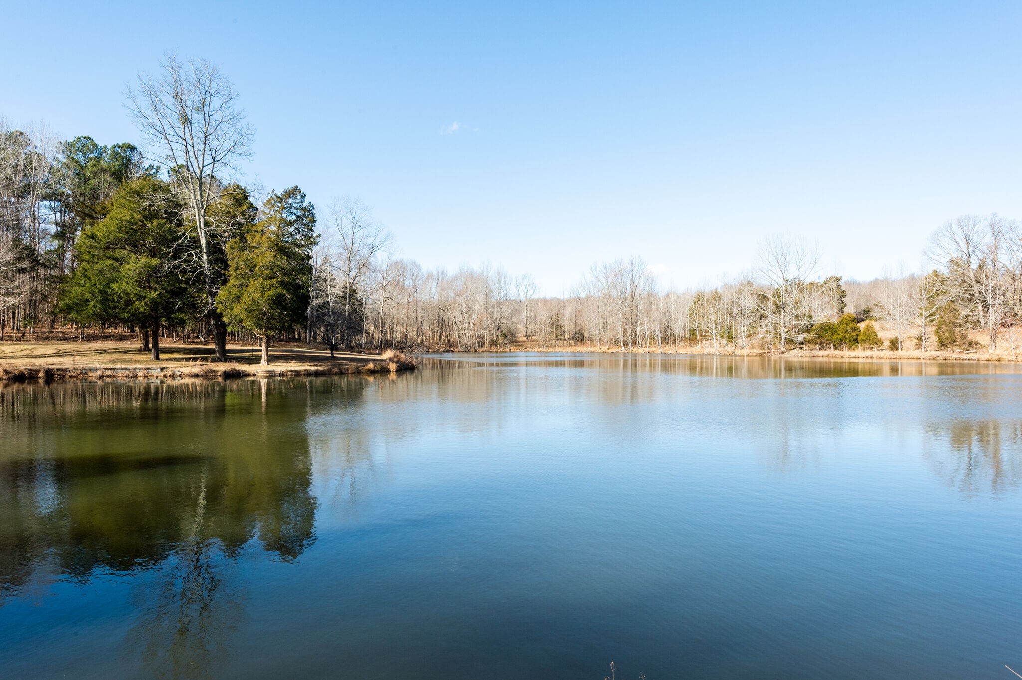 970 Stewart Road Dickson, TN 37055 - Photo 9 of 38 Gallery Image 9