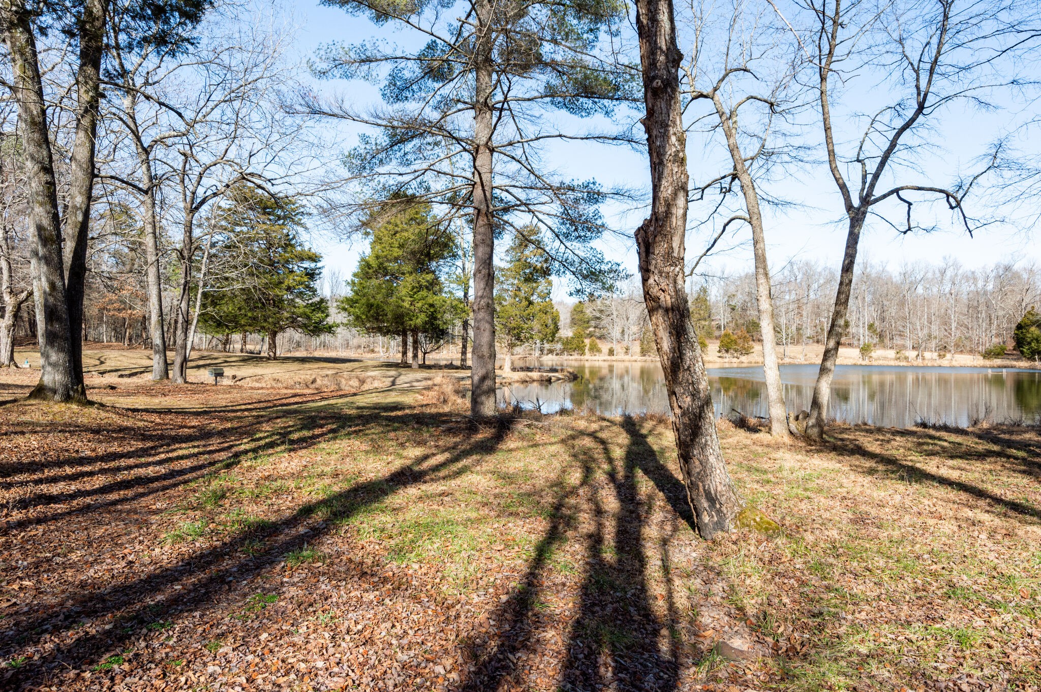 970 Stewart Road Dickson, TN 37055 - Photo 10 of 38 Gallery Image 10