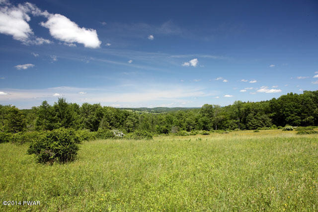 New Turnpike Road Cochecton, NY 12726 - Photo 9 of 9