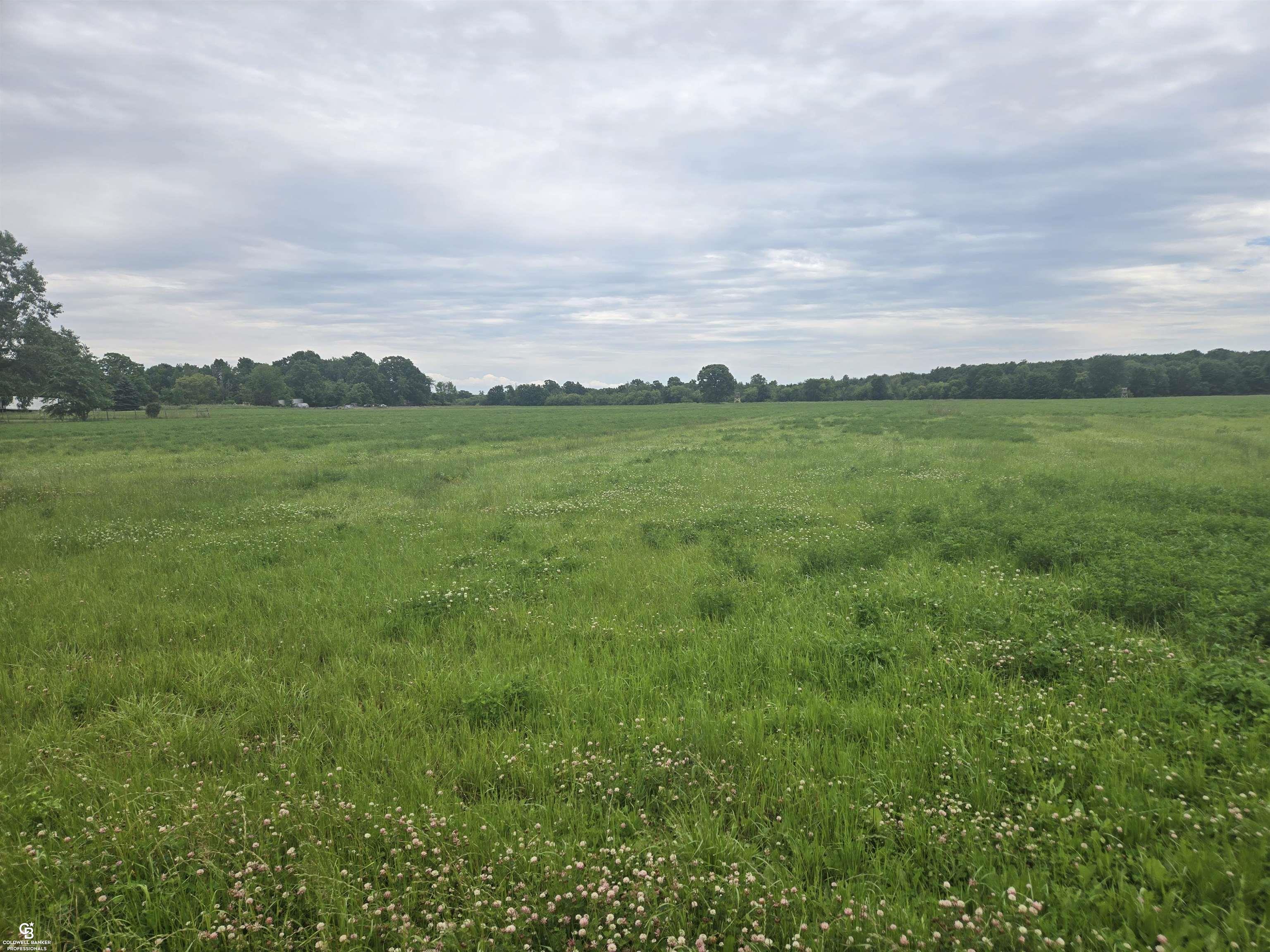 0 Imlay City Vl Road Avoca, MI 48006 - Photo 11 of 18
