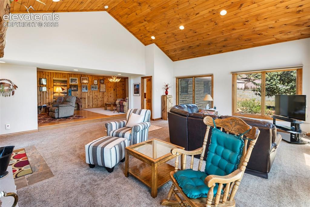 146 Toms Ranch Rd Lake Lake George, CO 80827 - Photo 14 of 30