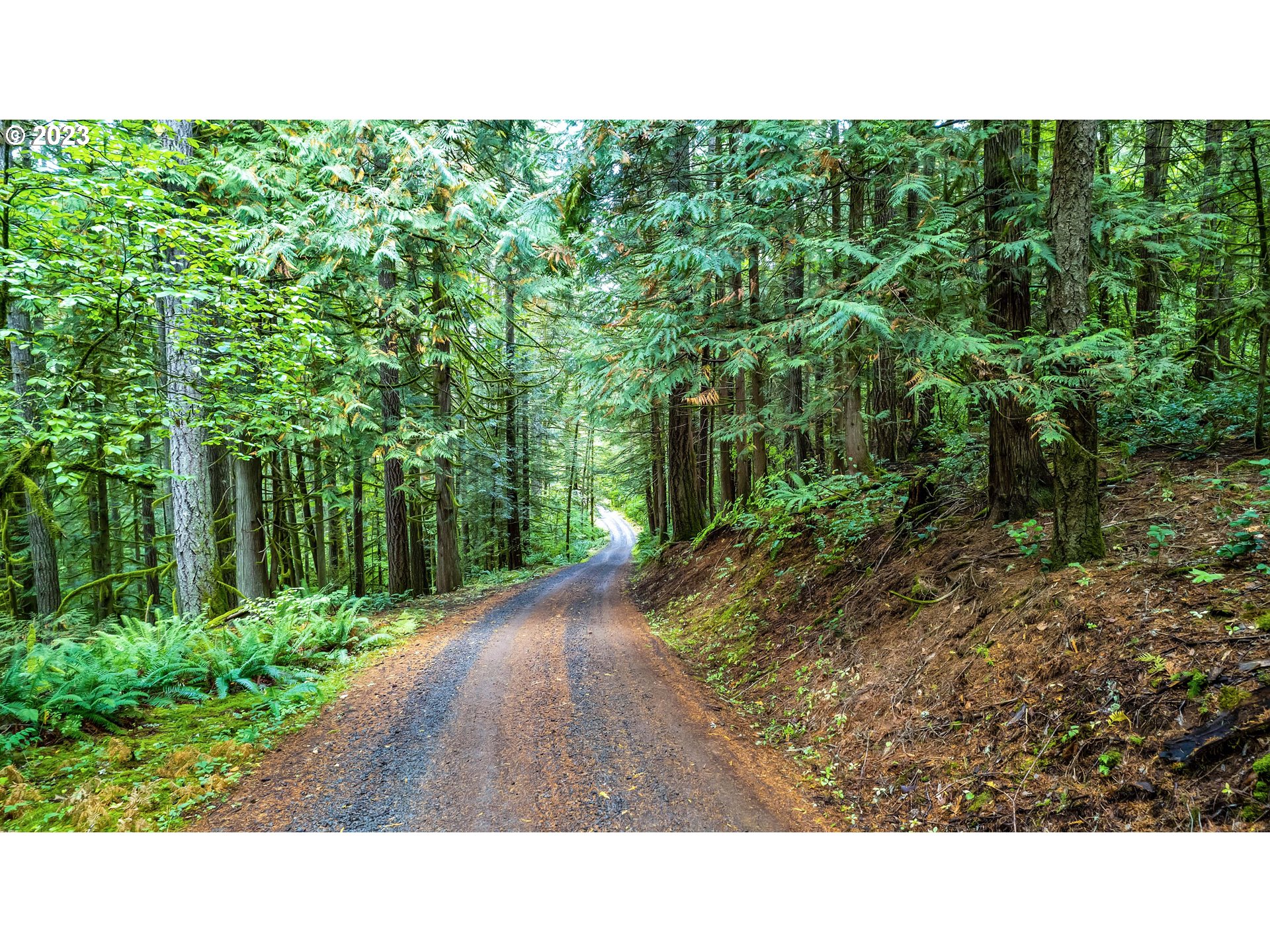 0 Northwest Green Mountain Road Banks, OR 97106 - Photo 12 of 35