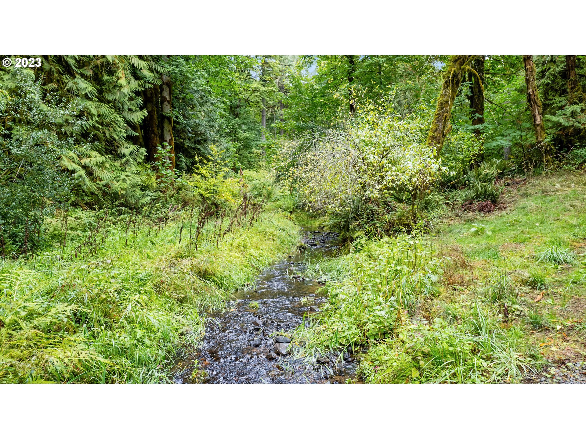 0 Northwest Green Mountain Road Banks, OR 97106 - Photo 13 of 35