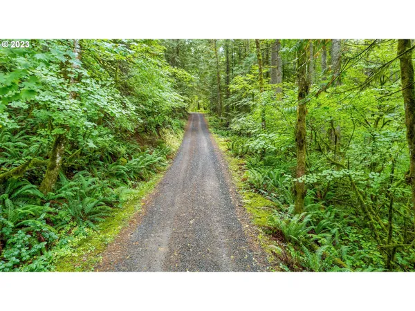 a black and white photo of a house