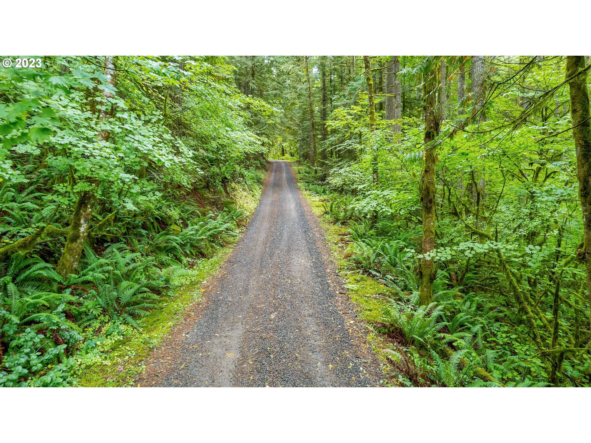 0 Northwest Green Mountain Road Banks, OR 97106 - Photo 14 of 35