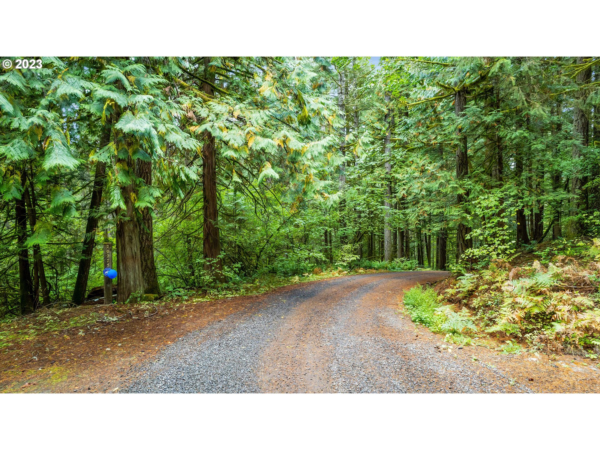 0 Northwest Green Mountain Road Banks, OR 97106 - Photo 15 of 35