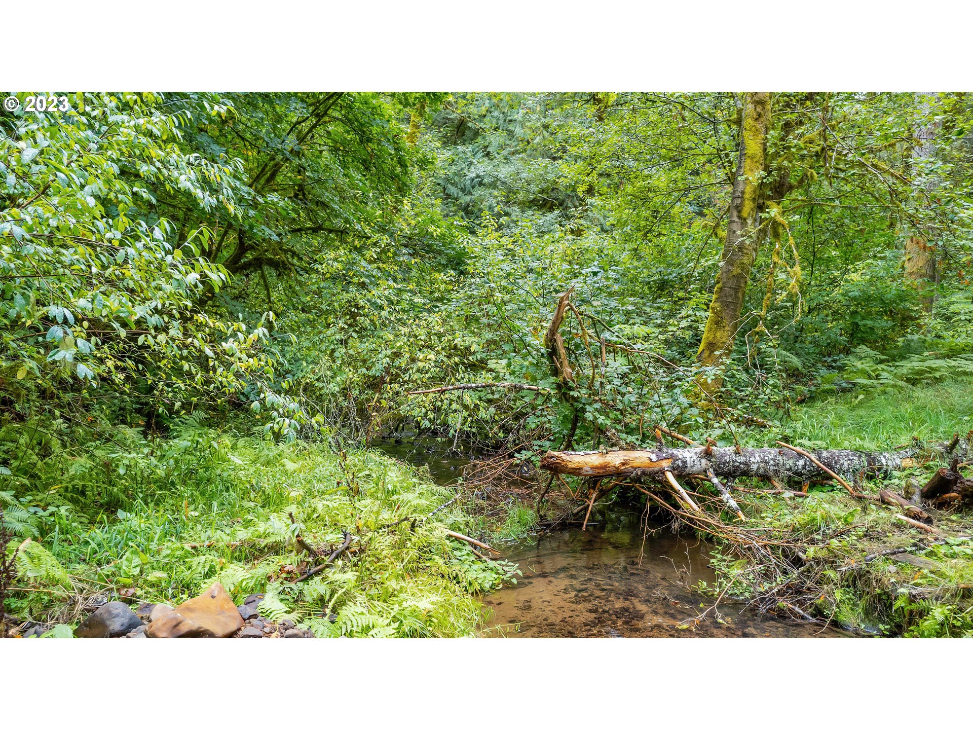 0 Northwest Green Mountain Road Banks, OR 97106 - Photo 20 of 35