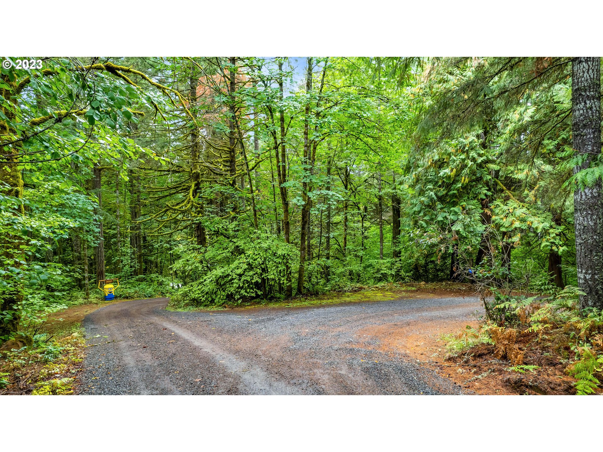 0 Northwest Green Mountain Road Banks, OR 97106 - Photo 25 of 35