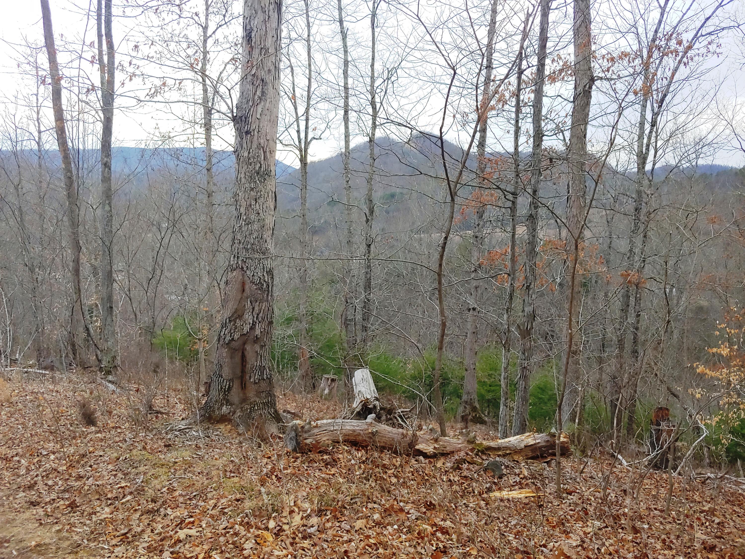 1520 Hurst Road Shawsville, VA 24162 - Photo 3 of 14 0305201642_HDR