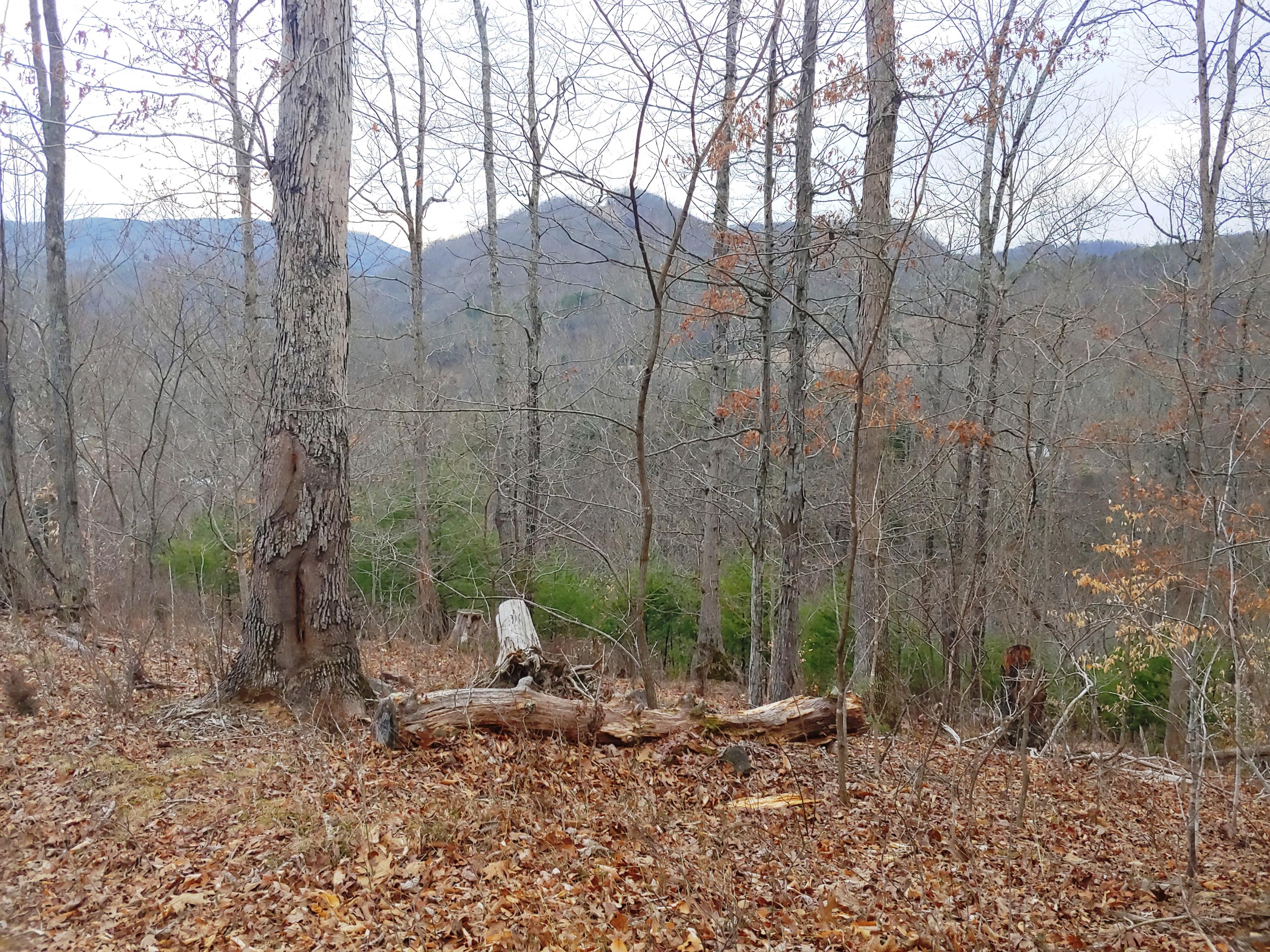 1520 Hurst Road Shawsville, VA 24162 - Photo 5 of 14 0305201642c_HDR