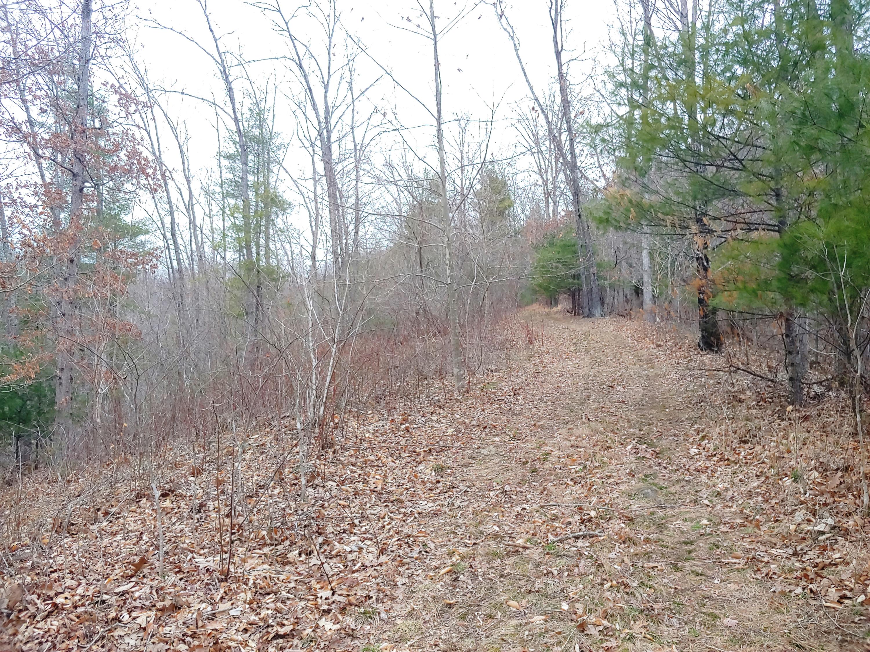 1520 Hurst Road Shawsville, VA 24162 - Photo 6 of 14 0305201642d_HDR