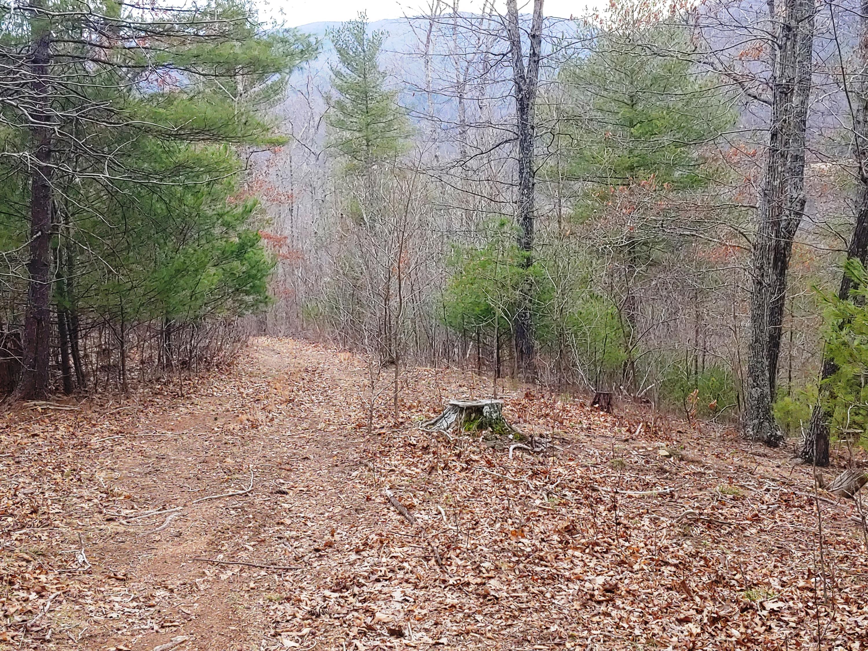 1520 Hurst Road Shawsville, VA 24162 - Photo 8 of 14 0305201645
