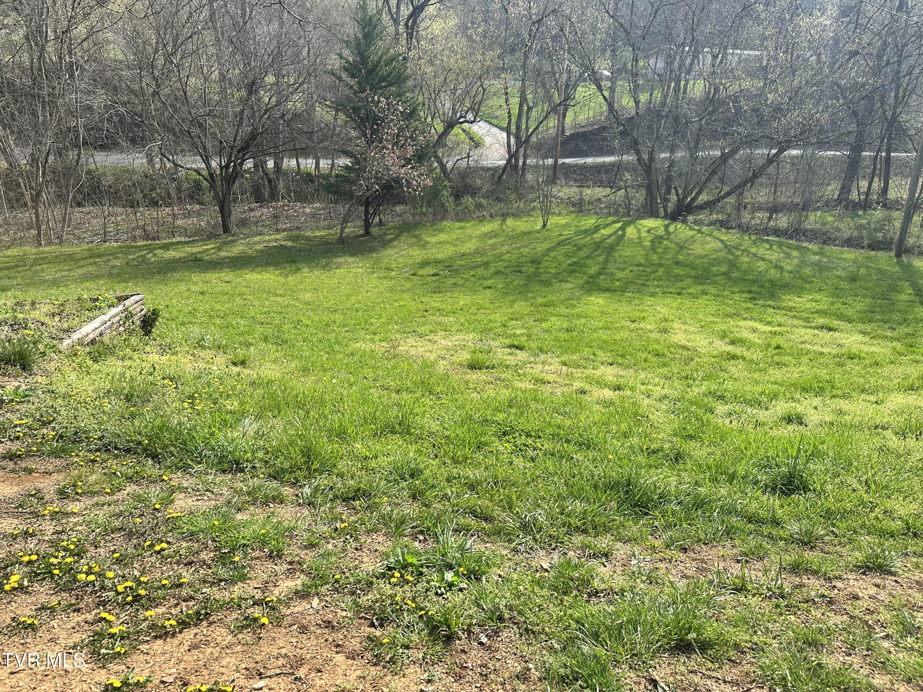 702 Speedwell Road Bulls Gap, TN 37711 - Photo 24 of 56 24 IMG_4855