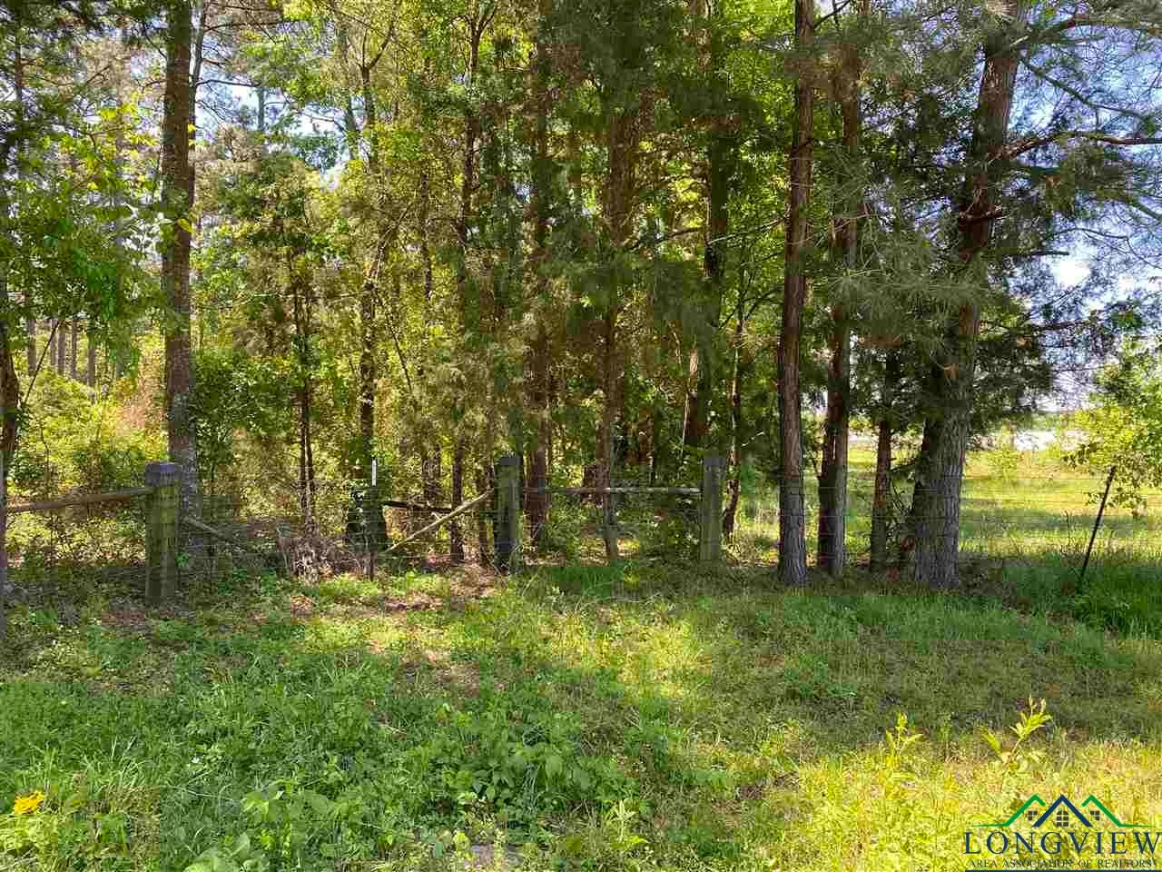 Tbd Orchid Road Ore City, TX 75683 - Photo 29 of 36 Gallery Image 29