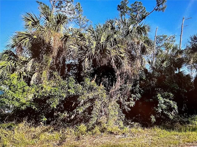 $27,900 | 219 Swift Street, Port Charlotte, FL 33954