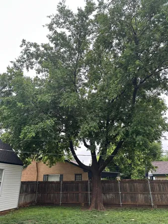 a house with trees in front of it