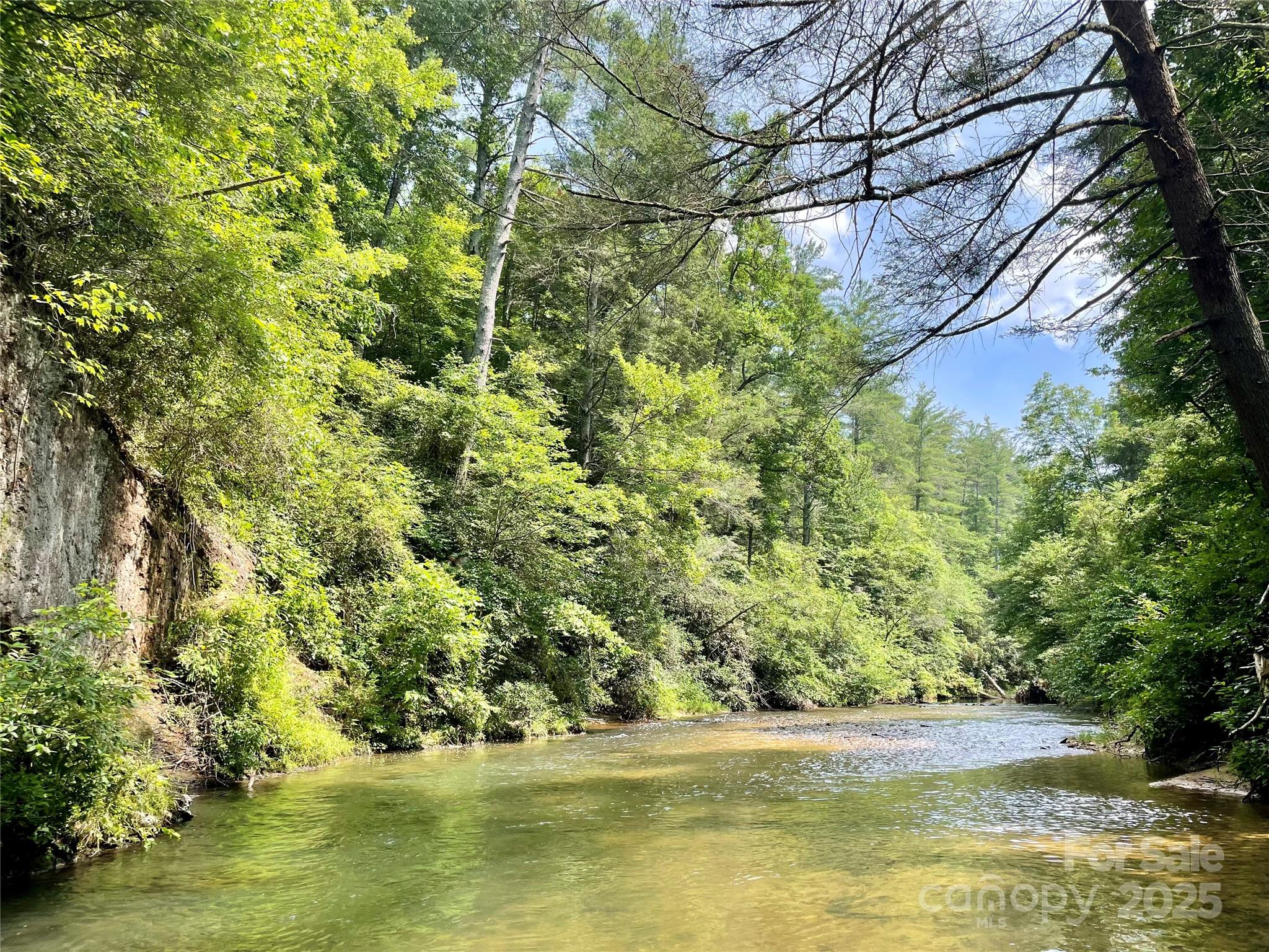 3867 River Road Morganton, NC 28655 - Photo 6 of 10 Gallery Image 6