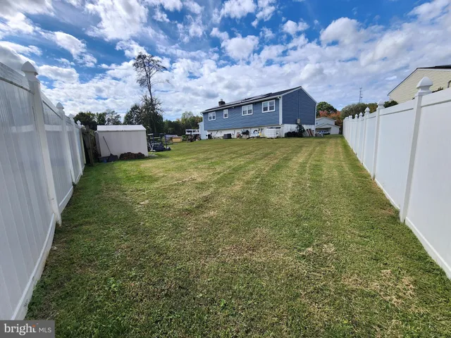a view of a backyard with a large tree