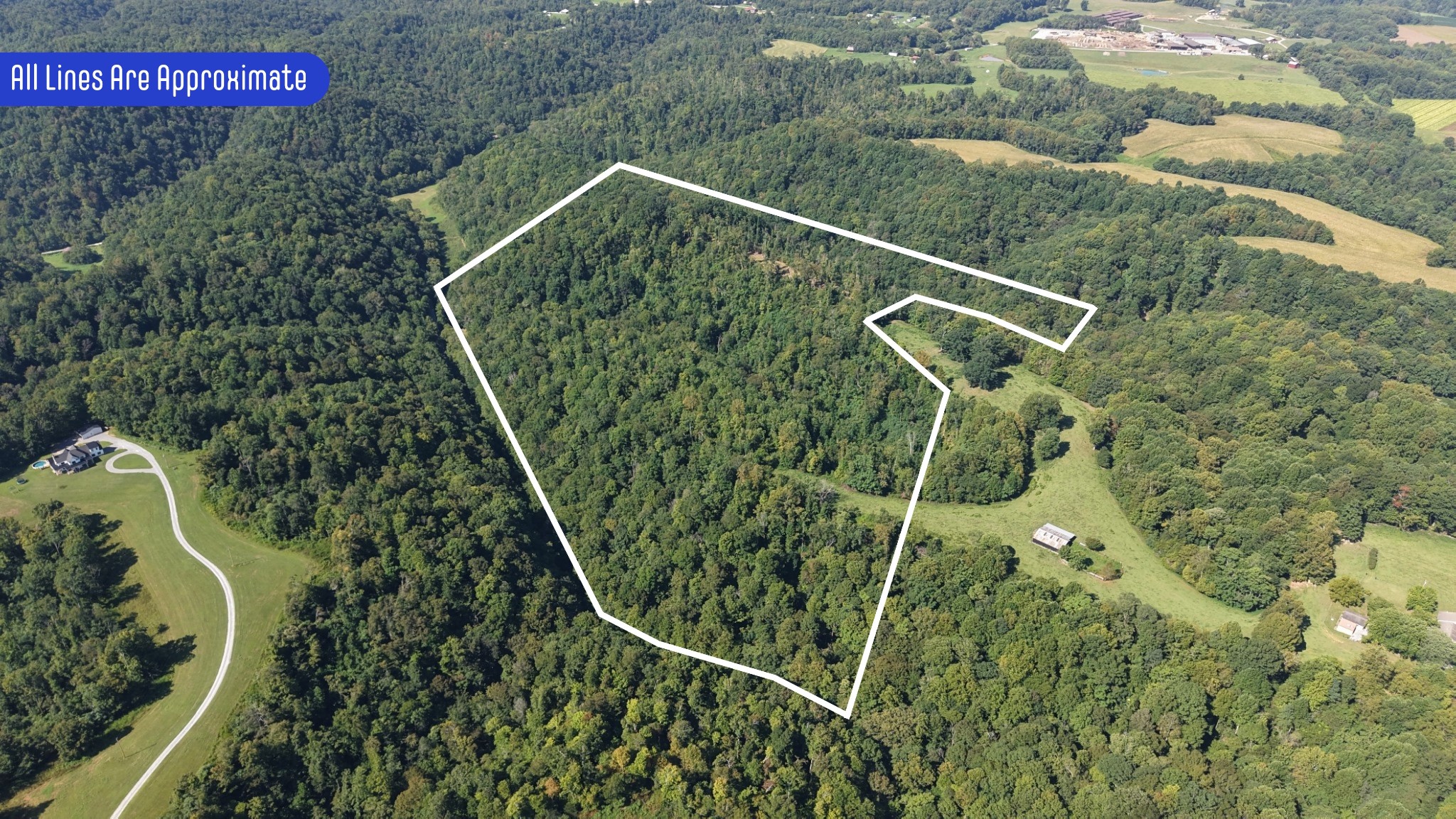 0 Wartrace Road Pleasant Shade, TN 37145 - Photo 1 of 42 Gallery Image 1