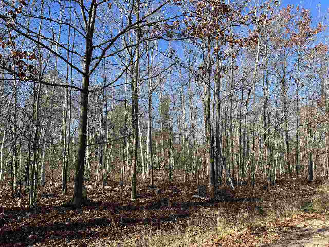3319 Birch Point Road Beaverton, MI 48612 - Photo 4 of 45