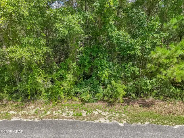 $70,000 | 0 Paradise Lakes Road, Chipley, FL 32428