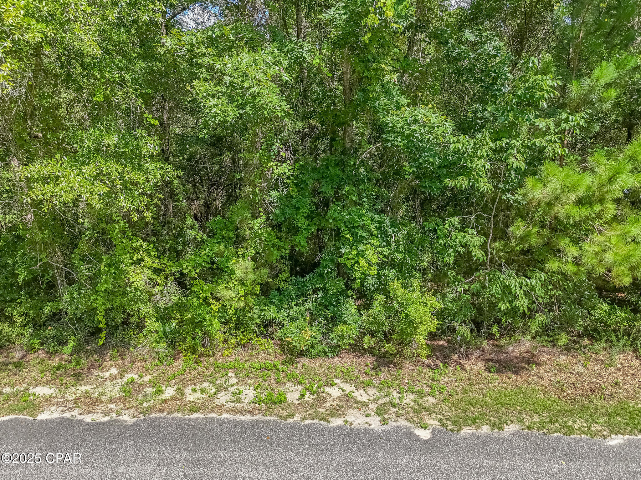 0 Paradise Lakes Road Chipley, FL 32428 - Photo 10 of 15