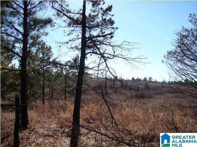 29 Highway Ac Al, Unit 33 Oneonta, AL 35121 - Photo 12 of 23