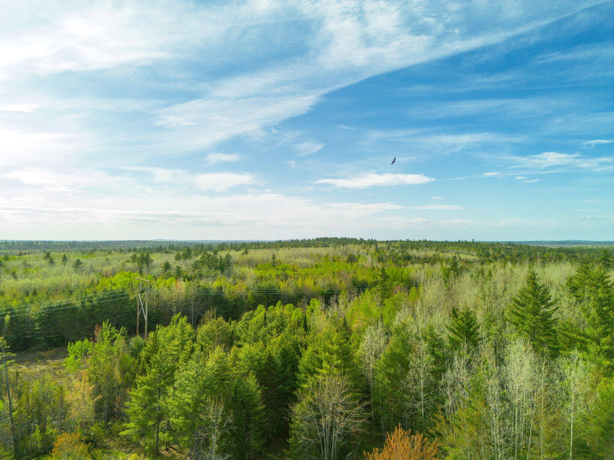 241 Baker Brook Road Bradley, ME 04411 - Photo 28 of 67 1000018711