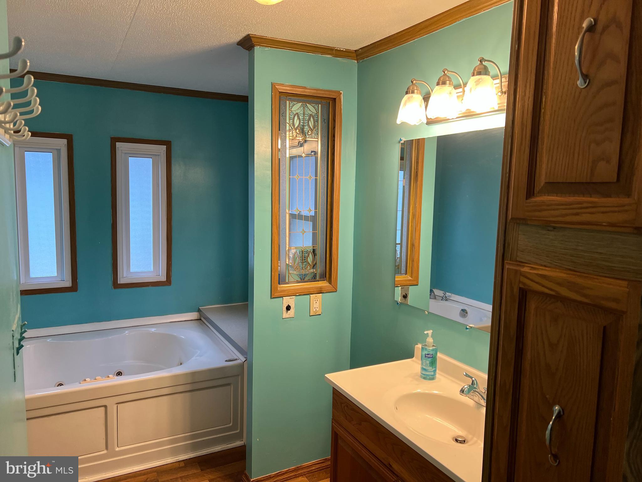 123 Rodeo Circle Middle River, MD 21220 - Photo 11 of 16 On Suite bathroom