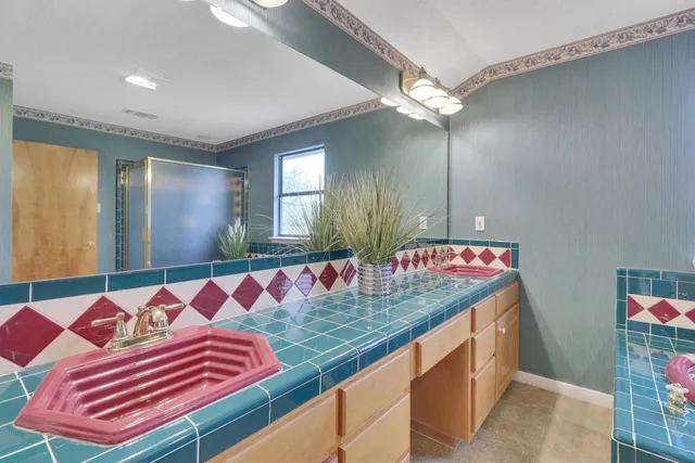 a bathroom with a bath tub and a shower