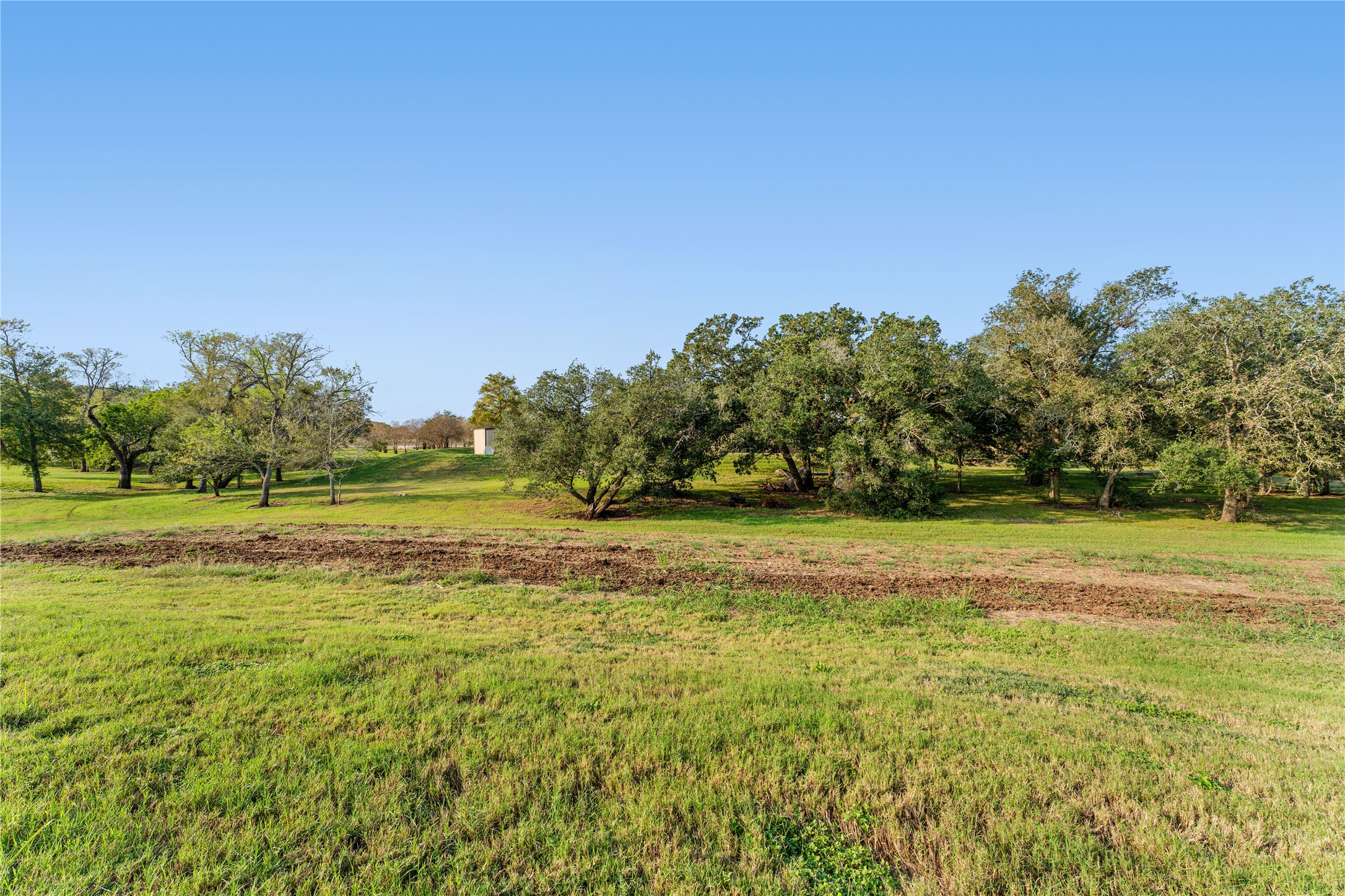 5619 Boothline Road Richmond, TX 77469 - Photo 25 of 30 a view of a yard with a trees