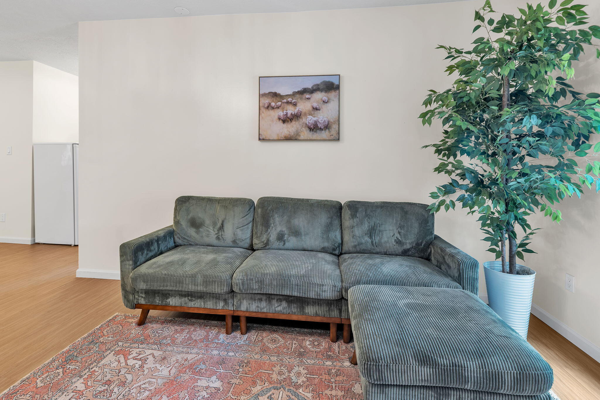 2707 Floral Road Northwest Albuquerque, NM 87104 - Photo 30 of 52 Gallery Image 30
