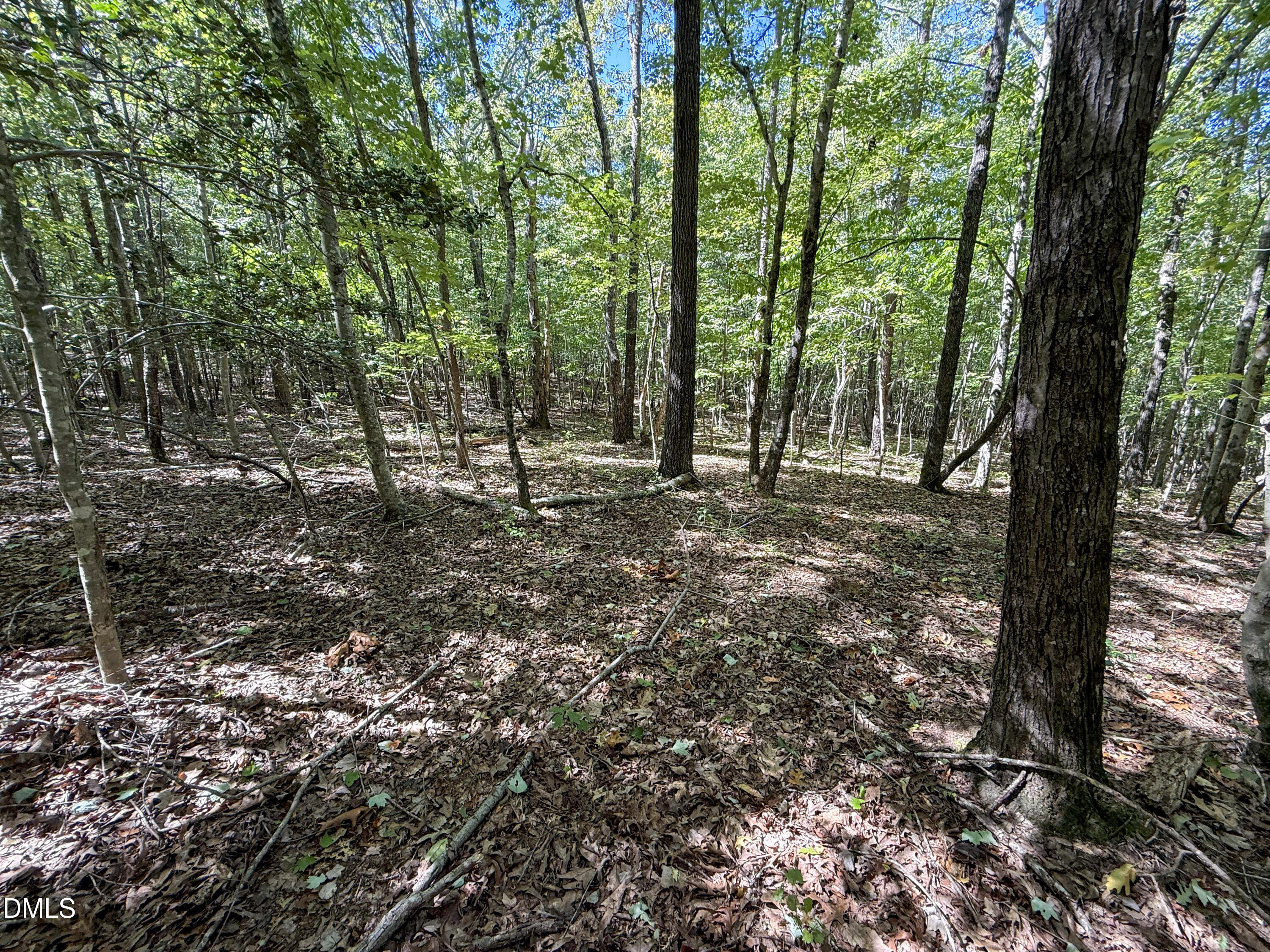 0 Ralph Moore Road Bear Creek, NC 27207 - Photo 7 of 13 Deal Chatham Ralph Moore Rd (6)