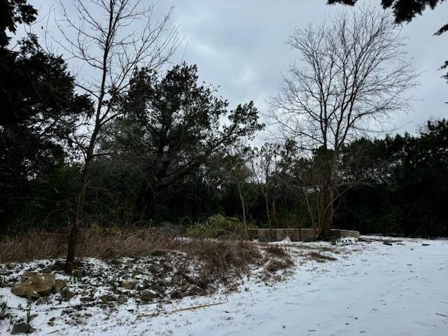 a view of outdoor space with trees