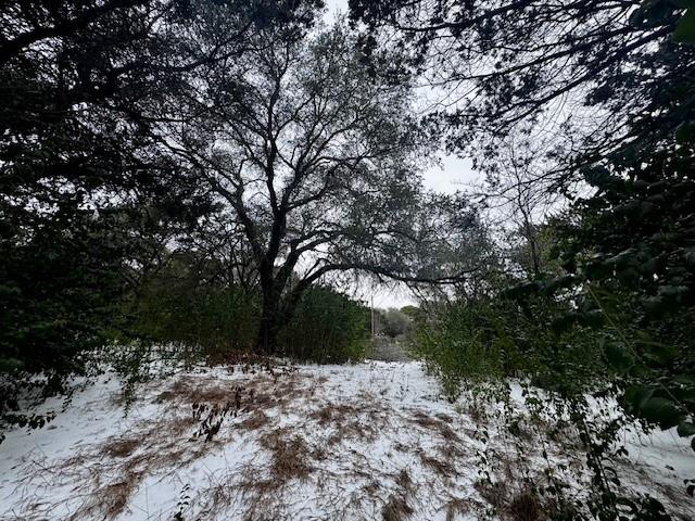262 Palomino Loop Whitney, TX 76692 - Photo 11 of 16 a view of a yard with a tree