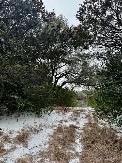 262 Palomino Loop Whitney, TX 76692 - Photo 12 of 16 a view of outdoor space and yard