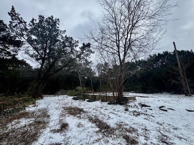 262 Palomino Loop Whitney, TX 76692 - Photo 15 of 16 a view of outdoor space with trees