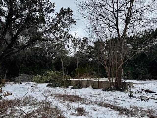 262 Palomino Loop Whitney, TX 76692 - Photo 3 of 16 a view of a tree with a backyard