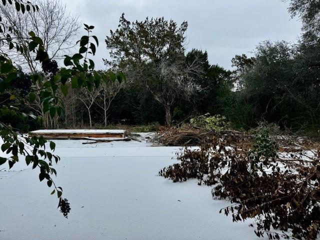 262 Palomino Loop Whitney, TX 76692 - Photo 4 of 16 a view of swimming pool and trees