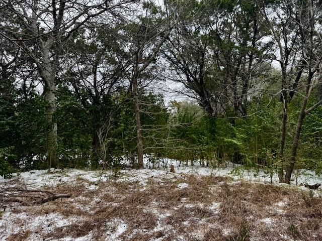 262 Palomino Loop Whitney, TX 76692 - Photo 5 of 16 a view of outdoor space with trees
