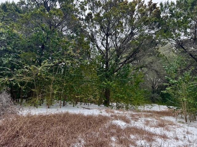 262 Palomino Loop Whitney, TX 76692 - Photo 6 of 16 a view of a dirt road with trees in the background