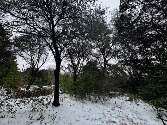 262 Palomino Loop Whitney, TX 76692 - Photo 10 of 16 a view of a forest with trees in the background
