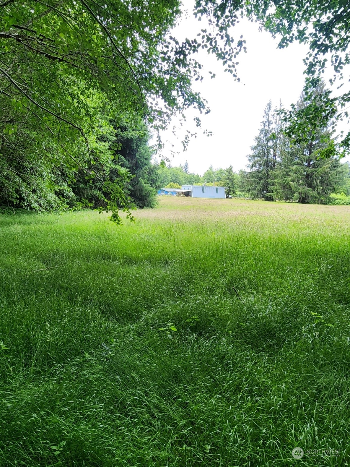 1172 Whitcomb Diimmel Road Forks, WA 98331 - Photo 8 of 40 Gallery Image 8