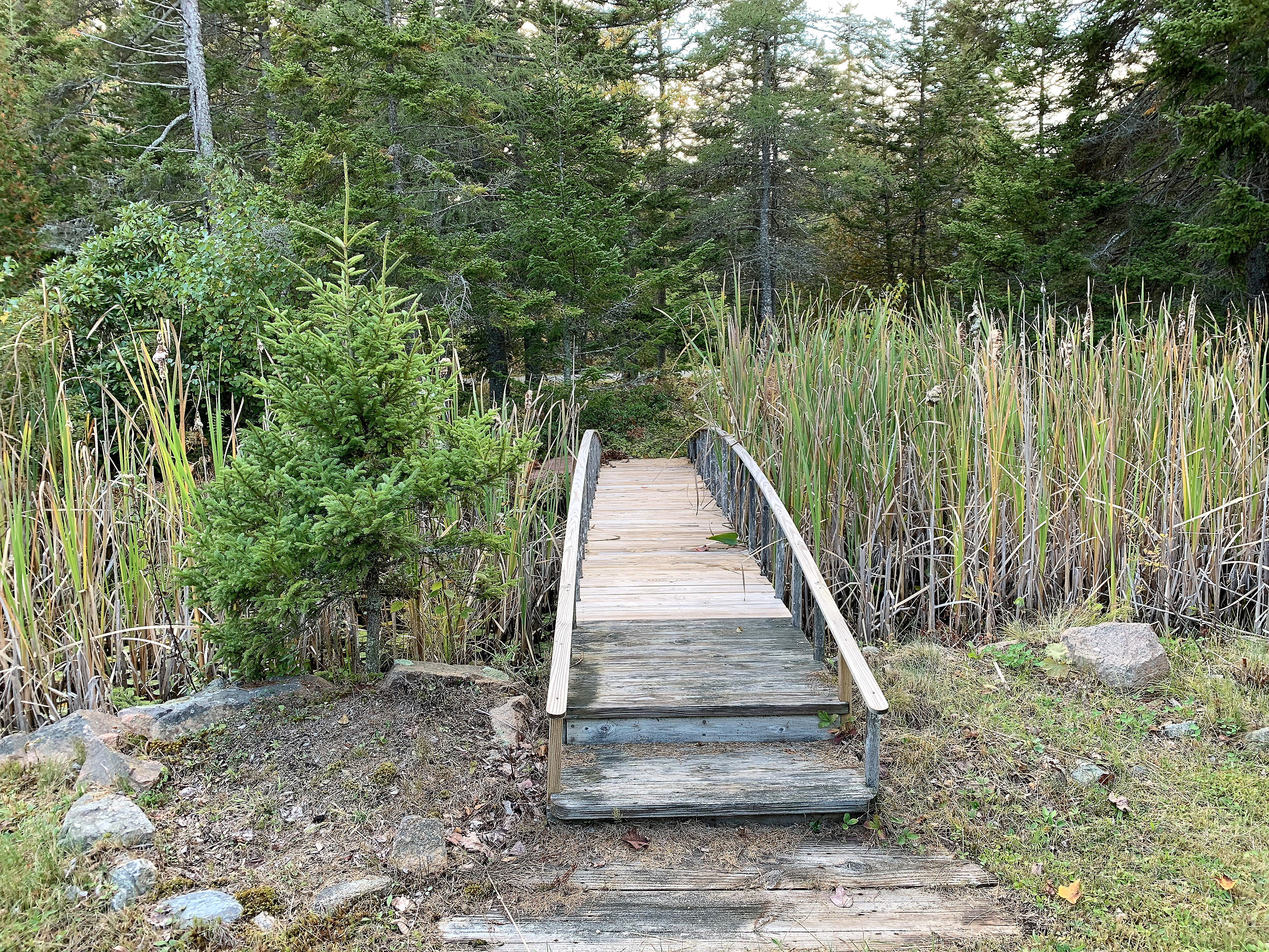 119 Kelleytown Road Bernard, ME 04612 - Photo 21 of 50 119 Kelleytown_018