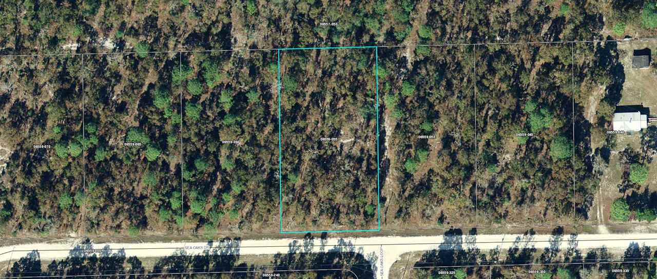 Lot 11 Sea Oaks Road Perry, FL 32348 - Photo 9 of 14 Gallery Image 9
